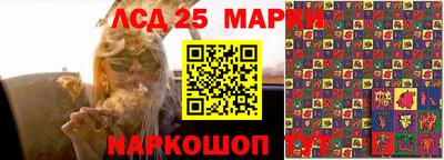 прущие грибы Краснознаменск